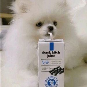 Meet your Posher, Bridget